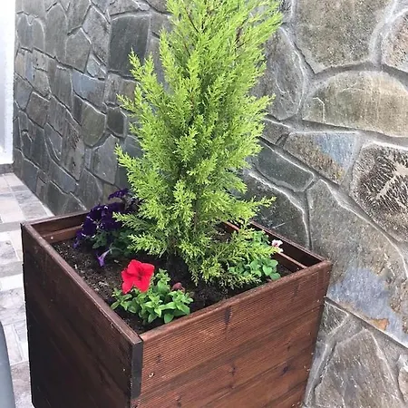 בית נופש Maria & Zachos House קיסאמוס